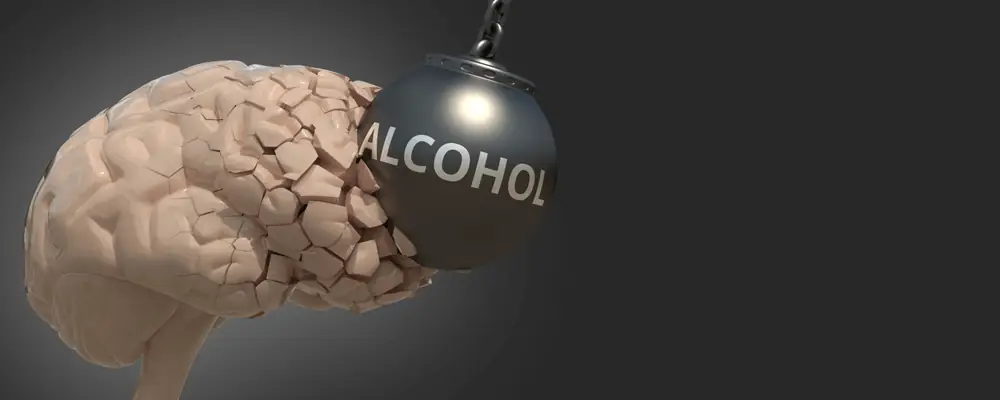Alcohol and Your Brain Banner